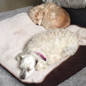 Meet your Posher, Deborah